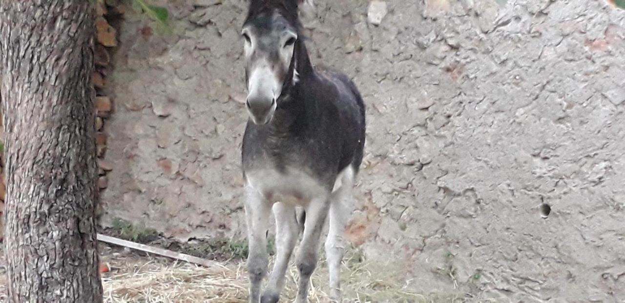 Casa Rural Entresierras Beires Bagian luar foto
